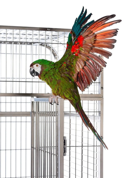 Prevue Imperial Stainless Steel Bird Cage, Extra Large