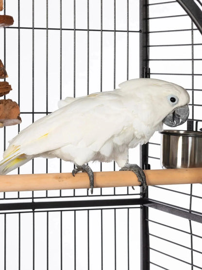 Prevue Silverado Macaw Bird Cage, 46"x36"x78 3/4"
